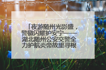 夜游随州光影盛，警徽闪耀护安宁——湖北随州公安交警全力护航炎帝故里寻根节夜游活动侧记