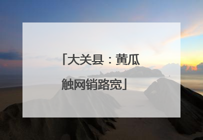 大关县：黄瓜触网销路宽