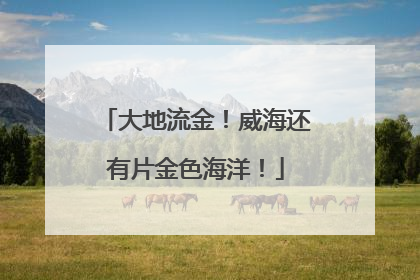 大地流金！威海还有片金色海洋！