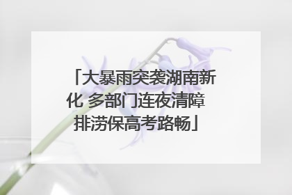 大暴雨突袭湖南新化 多部门连夜清障排涝保高考路畅