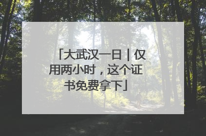 大武汉一日｜仅用两小时，这个证书免费拿下