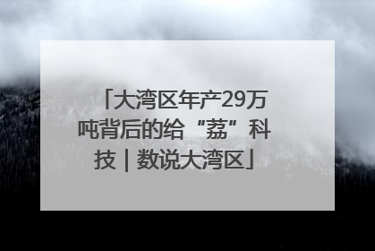 大湾区年产29万吨背后的给“荔”科技｜数说大湾区