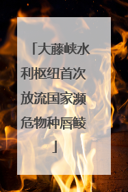 大藤峡水利枢纽首次放流国家濒危物种唇鲮