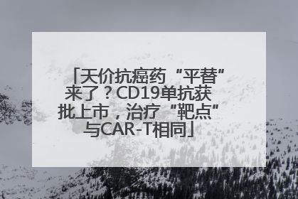 天价抗癌药“平替”来了？CD19单抗获批上市，治疗“靶点”与CAR-T相同