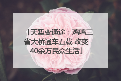 天堑变通途：鸡鸣三省大桥通车五载 改变40余万民众生活