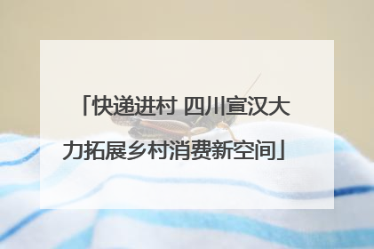 快递进村 四川宣汉大力拓展乡村消费新空间
