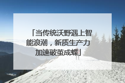 当传统沃野遇上智能浪潮，新质生产力加速破茧成蝶