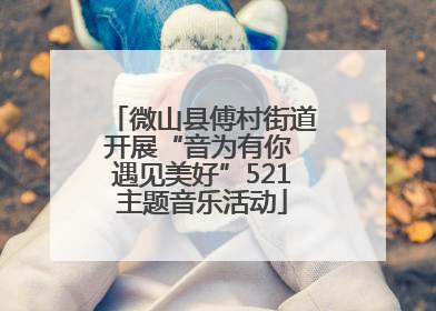 微山县傅村街道开展“音为有你 遇见美好”521主题音乐活动
