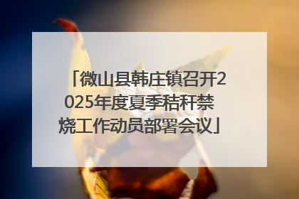 微山县韩庄镇召开2025年度夏季秸秆禁烧工作动员部署会议