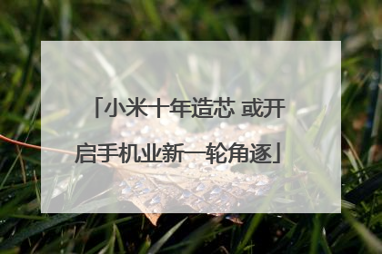 小米十年造芯 或开启手机业新一轮角逐