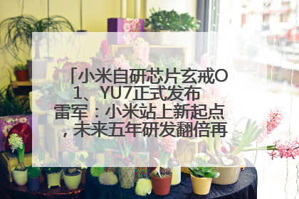 小米自研芯片玄戒O1、YU7正式发布 雷军：小米站上新起点，未来五年研发翻倍再投2000亿元
