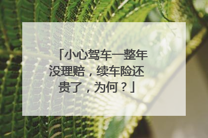 小心驾车一整年没理赔，续车险还贵了，为何？
