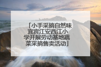 小手采摘自然味 宜宾江安西江小学开展劳动基地蔬菜采摘售卖活动