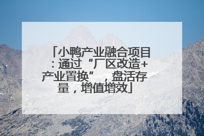 小鸭产业融合项目：通过“厂区改造+产业置换”，盘活存量，增值增效
