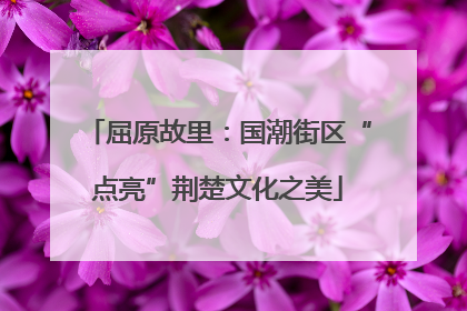 屈原故里：国潮街区“点亮”荆楚文化之美