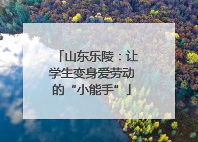 山东乐陵：让学生变身爱劳动的“小能手”