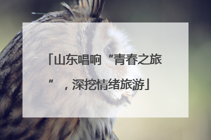山东唱响“青春之旅”，深挖情绪旅游