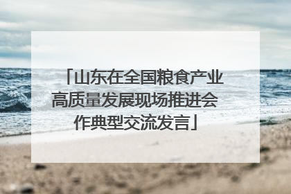 山东在全国粮食产业高质量发展现场推进会作典型交流发言