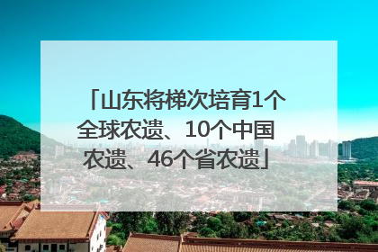山东将梯次培育1个全球农遗、10个中国农遗、46个省农遗