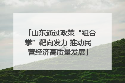 山东通过政策“组合拳”靶向发力 推动民营经济高质量发展