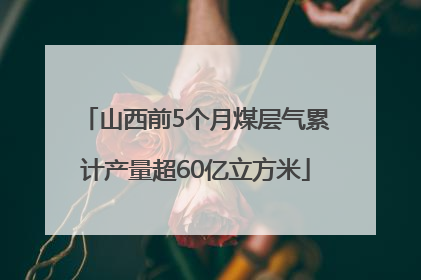 山西前5个月煤层气累计产量超60亿立方米
