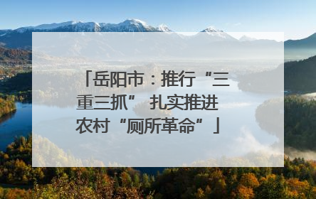 岳阳市：推行“三重三抓” 扎实推进农村“厕所革命”