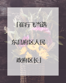 崔行飞当选东昌府区人民政府区长