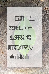 巨野：生态修复+产业开发 塌陷荒滩变身金山银山