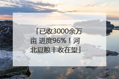 已收3000余万亩 进度96%！河北夏粮丰收在望