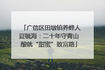 广信区田墩镇养蜂人夏毓海：二十年守青山酿就“甜蜜”致富路