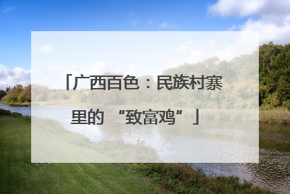 广西百色：民族村寨里的 “致富鸡”