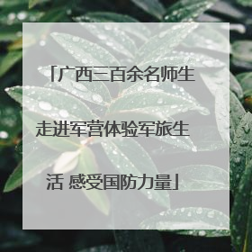 广西三百余名师生走进军营体验军旅生活 感受国防力量