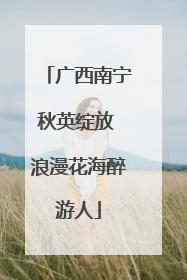 广西南宁秋英绽放 浪漫花海醉游人