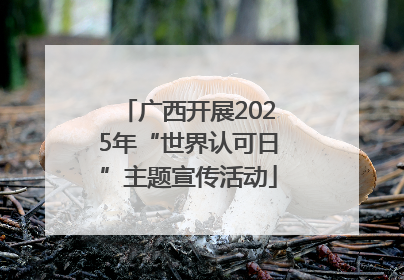 广西开展2025年“世界认可日”主题宣传活动