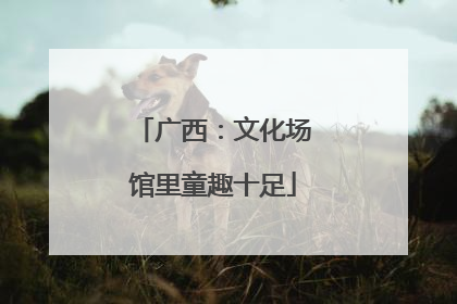 广西：文化场馆里童趣十足