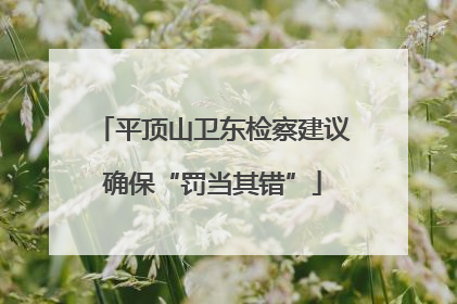 平顶山卫东检察建议确保“罚当其错”