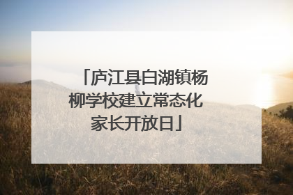 庐江县白湖镇杨柳学校建立常态化家长开放日