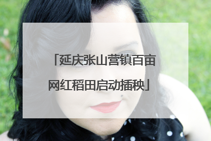 延庆张山营镇百亩网红稻田启动插秧