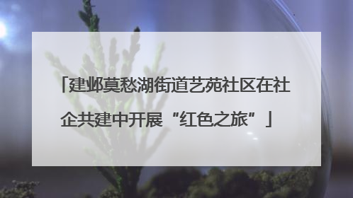建邺莫愁湖街道艺苑社区在社企共建中开展“红色之旅”