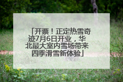 开票！正定热雪奇迹7月6日开业，华北最大室内雪场带来四季滑雪新体验