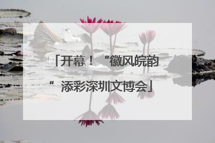 开幕！“徽风皖韵”添彩深圳文博会