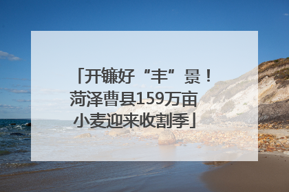 开镰好“丰”景！菏泽曹县159万亩小麦迎来收割季