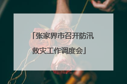张家界市召开防汛救灾工作调度会