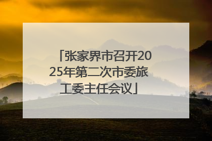 张家界市召开2025年第二次市委旅工委主任会议