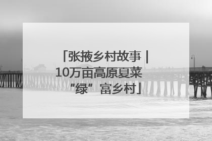 张掖乡村故事｜10万亩高原夏菜“绿”富乡村