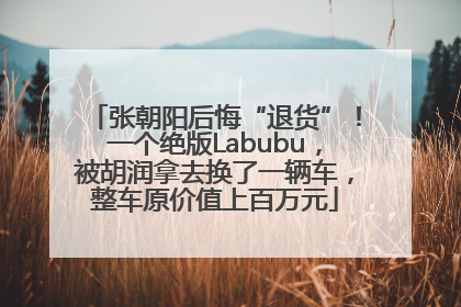 张朝阳后悔“退货”！一个绝版Labubu，被胡润拿去换了一辆车，整车原价值上百万元
