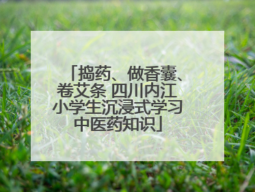 捣药、做香囊、卷艾条 四川内江小学生沉浸式学习中医药知识