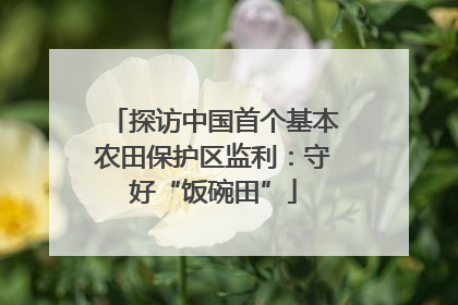 探访中国首个基本农田保护区监利：守好“饭碗田”