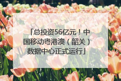 总投资56亿元！中国移动粤港澳（韶关）数据中心正式运行