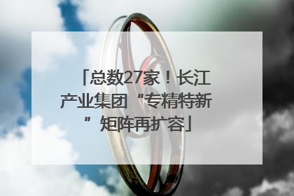 总数27家！长江产业集团“专精特新”矩阵再扩容